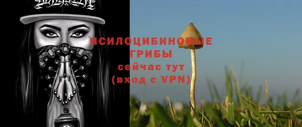 MDMA Бородино