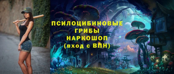 стаф Бронницы