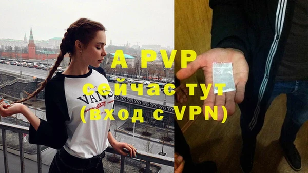 стаф Бронницы