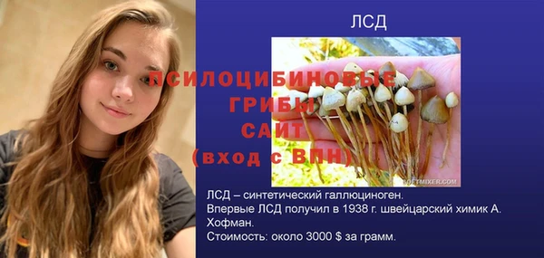 MDMA Бородино