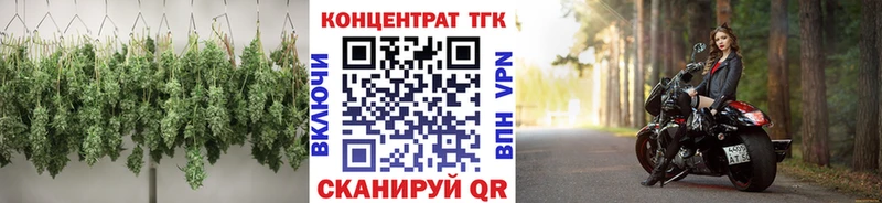 ТГК Wax Гусиноозёрск
