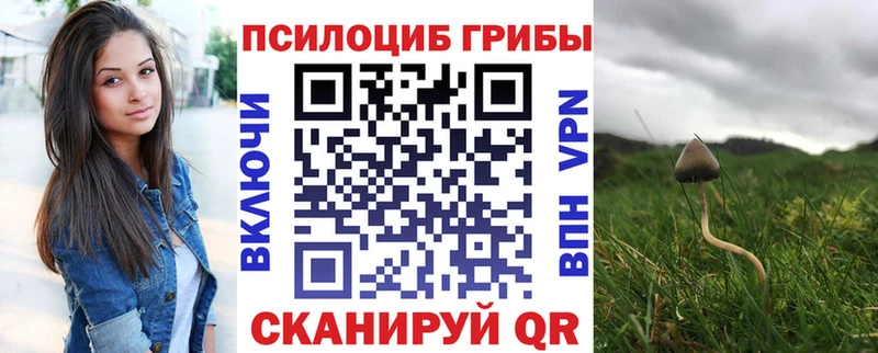 Галлюциногенные грибы MAGIC MUSHROOMS  Гусиноозёрск 